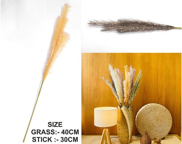 My Store GRASS BROWN FATHER PAMPAS GRASS