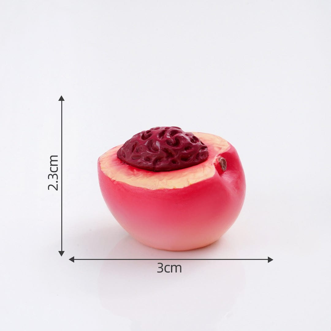 Crafteria Horn honey Melon (4Pcs) Fruit Miniature Series