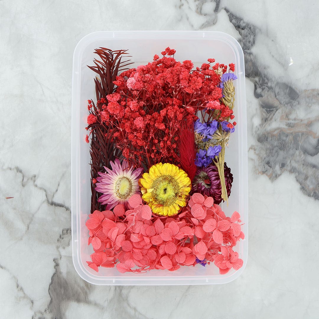 Crafteria 3D Dry Flower Random Colour