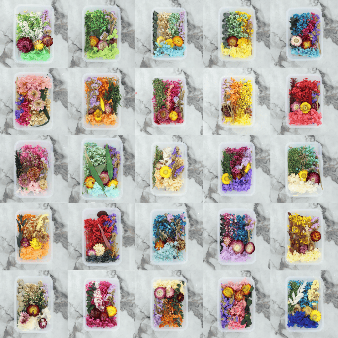 Crafteria 3D Dry Flower Random Colour