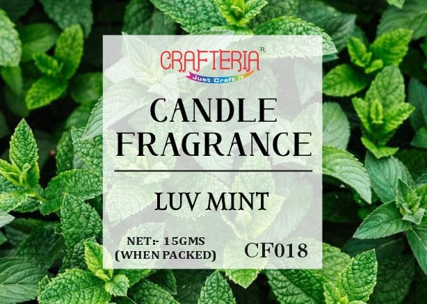 Crafteria Candle Fragrance Luv Mint Candle Fragrance