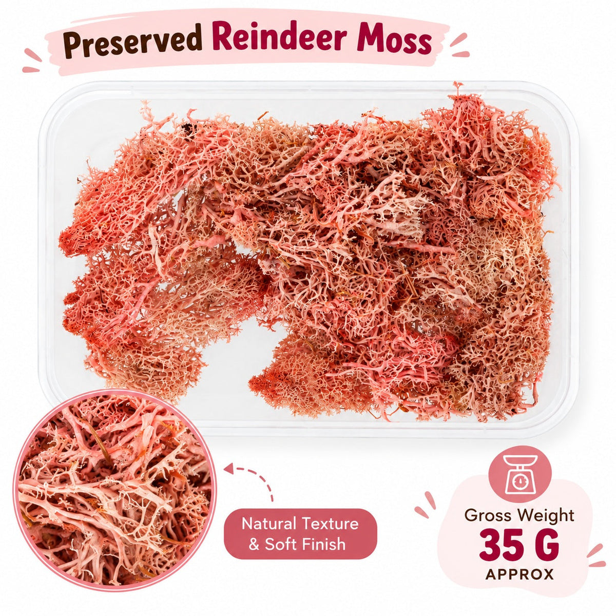 Coral Pink Preserved Reindeer Moss for Resin Art, Terrarium Decoration, Miniature Gardens & DIY Crafts
