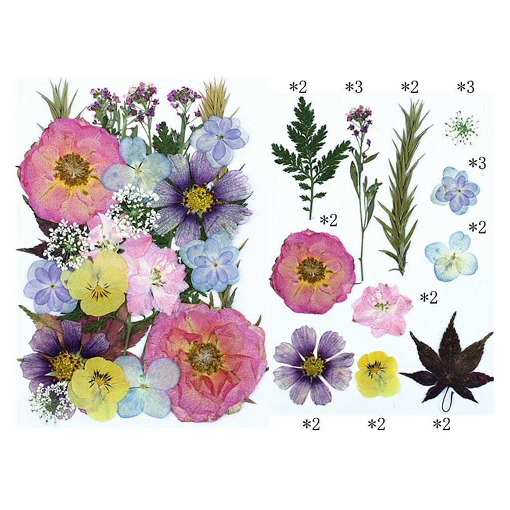 My Store DRY PRESSED FLOWER 25 In 1 Pressed Flowers FL020