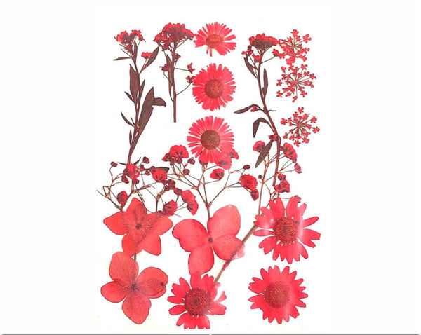 My Store DRY PRESSED FLOWER 18 IN 1 PRESSED FLOWERS FL191