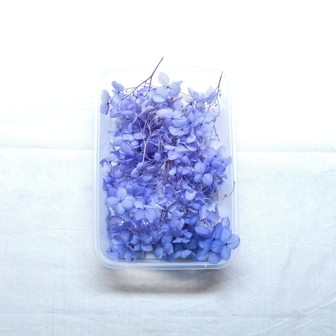 JUST CRAFT IT DRY PRESSED FLOWER Blue Hydrangea Dry Flower