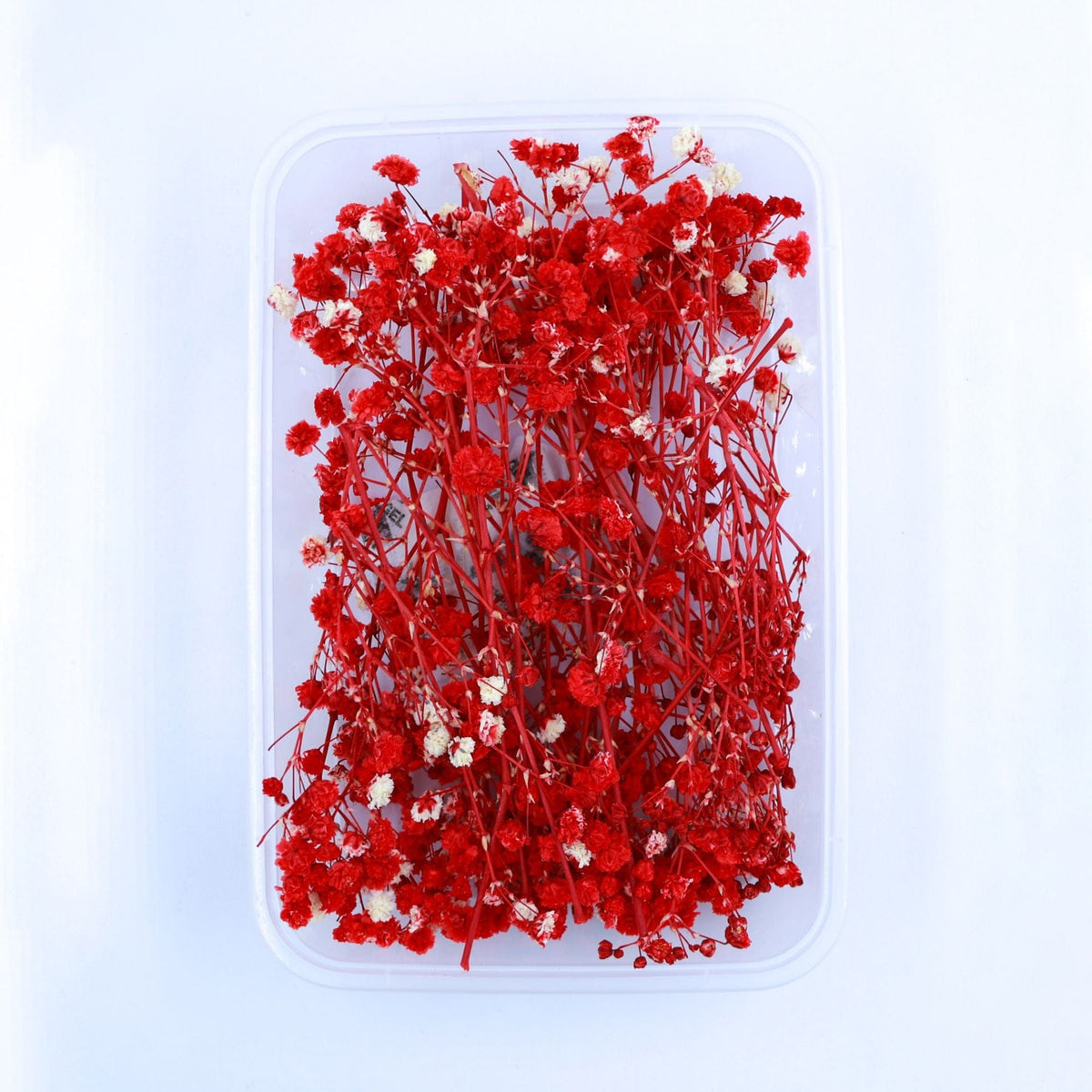 JUST CRAFT IT DRY PRESSED FLOWER Red Baby Breath Dry Flower