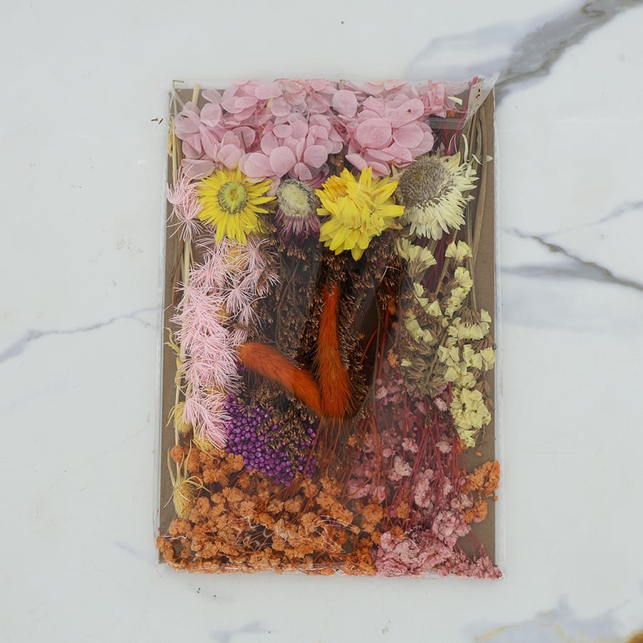 Crafteria Dried Mixed Flower D05