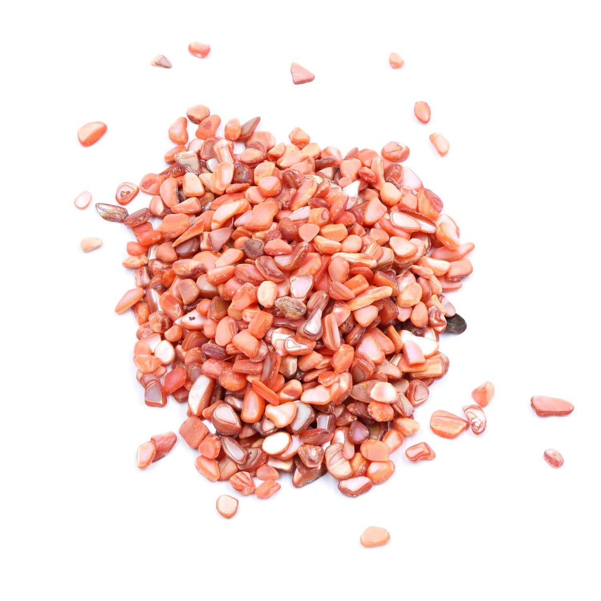 Crafteria Multicolor Shell Stone Granules (500gms)