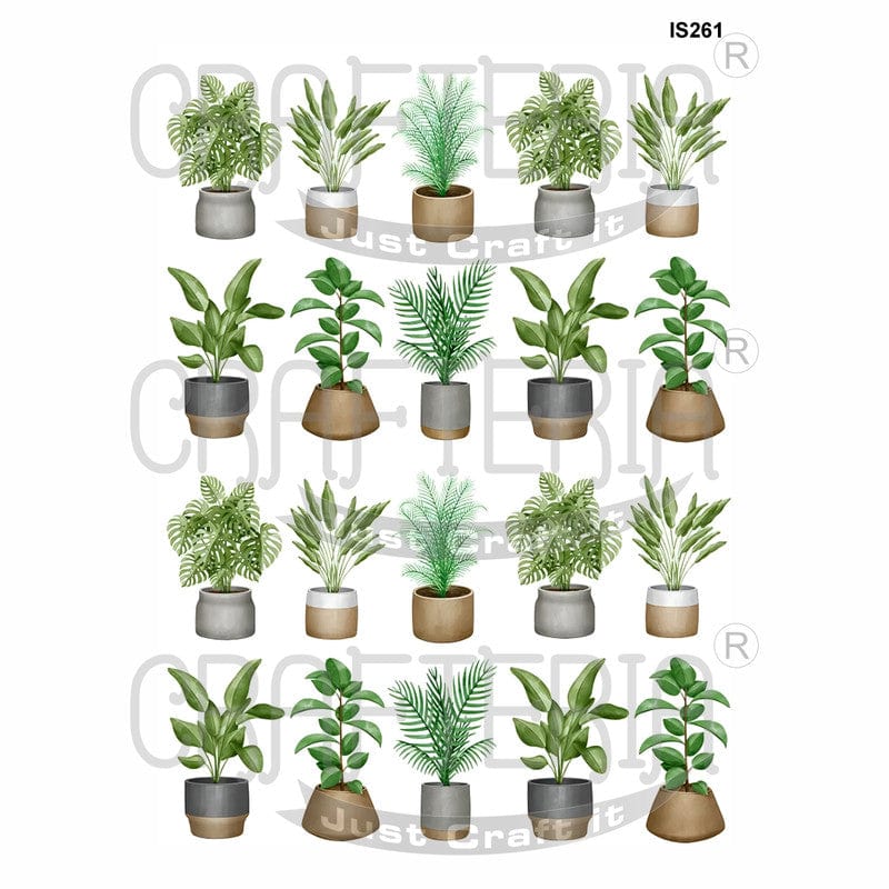 Crafteria Plants Designs Insert Sheet (Transparent Sheet) IS261
