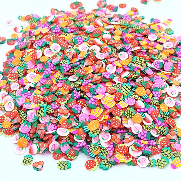 Fruit Slices Polymer Chips PCH25135