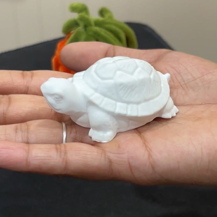 My Store Silicon Mould Small Turtle Mould