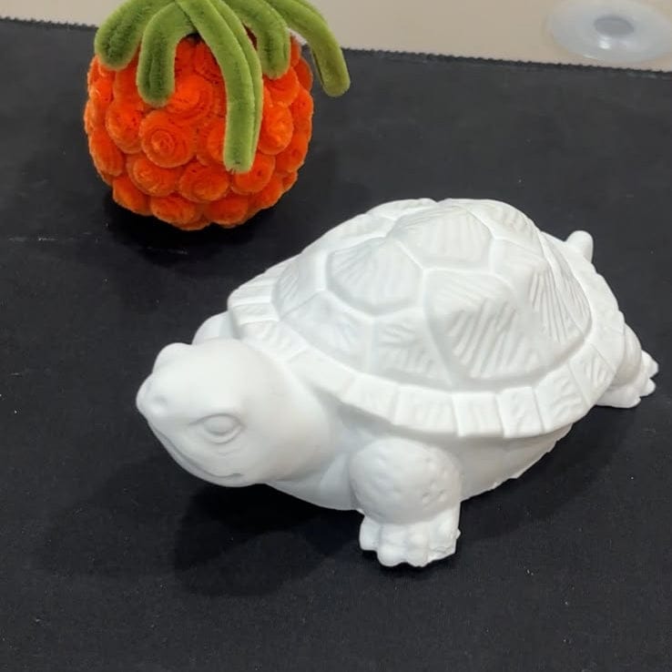 My Store Silicon Mould Big Turtle Mould