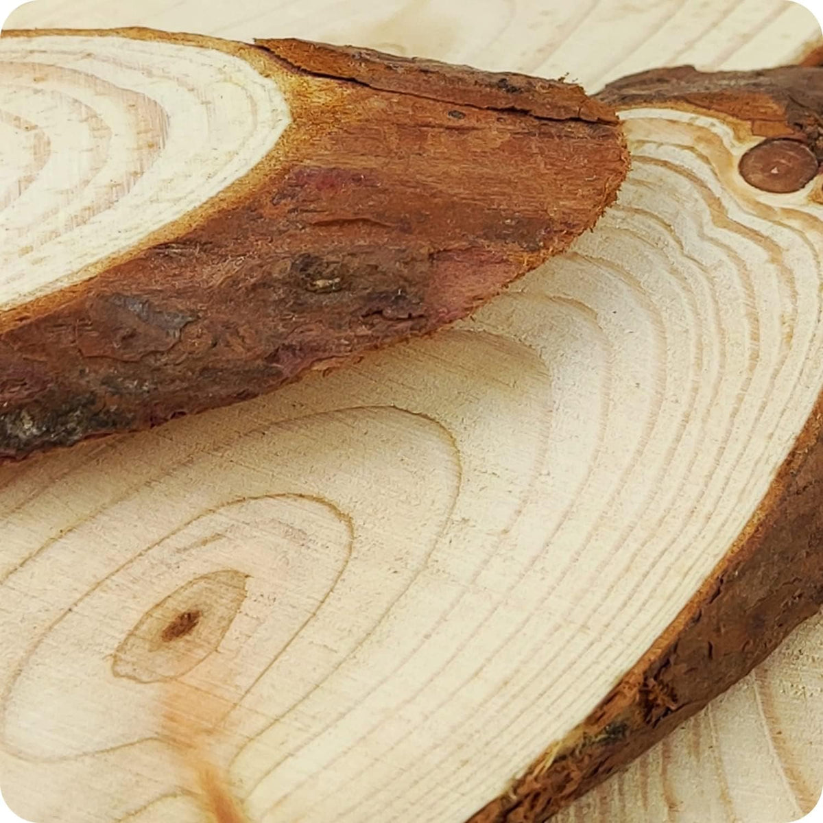 Oval Natural Wooden Coaster (6-8x20Cm) WS012